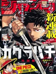 四大名捕漫画境界年轮示意标本图